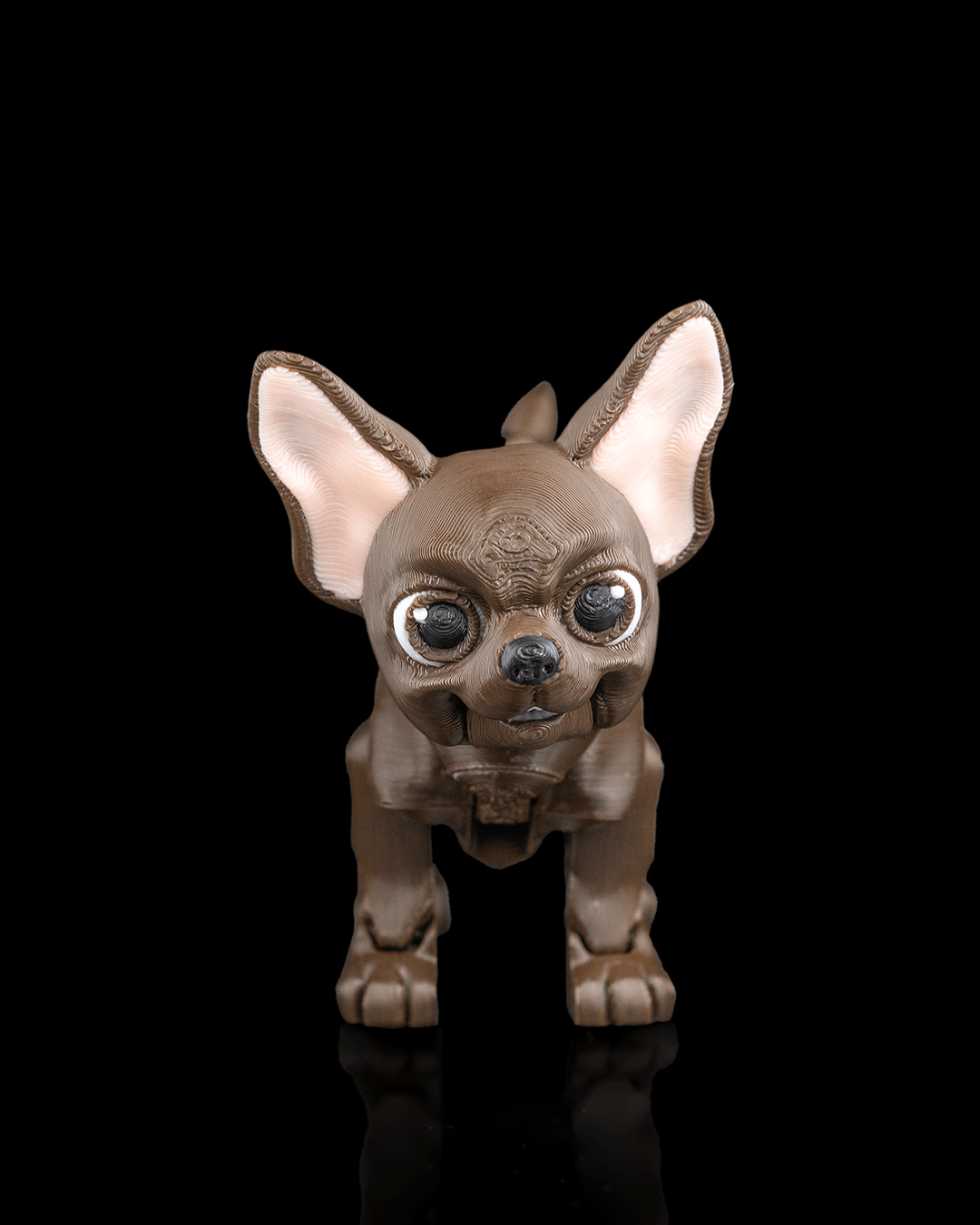 Lupe, the Chihuahua