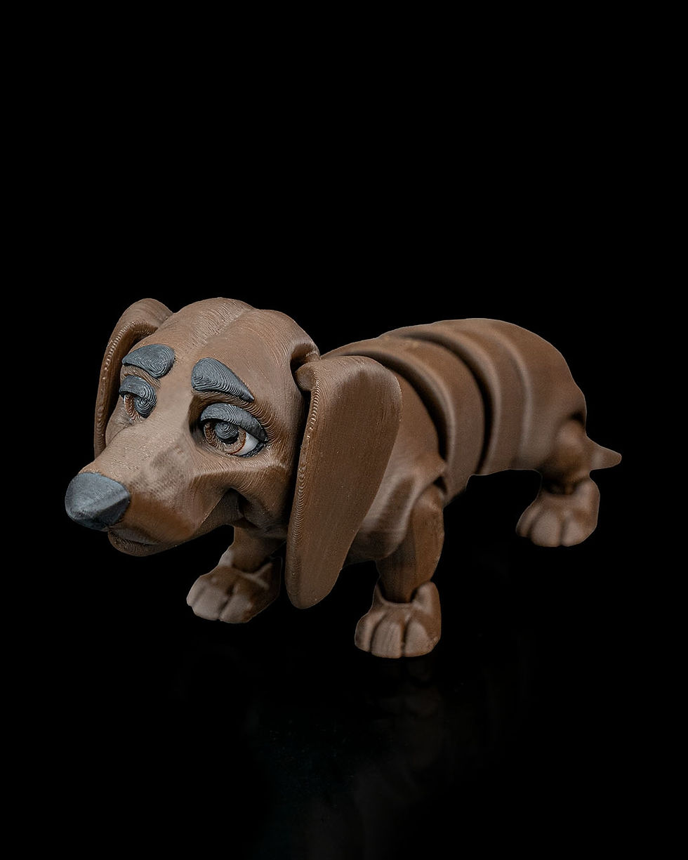Thumbnail: Winston, the Dachshund