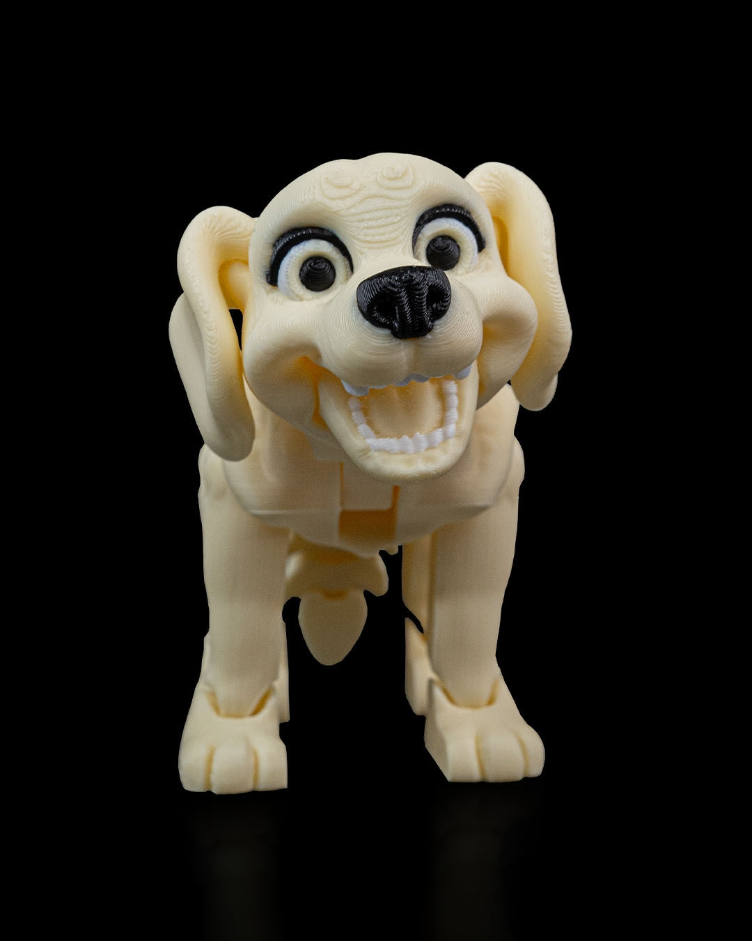 Darla, the Labrador