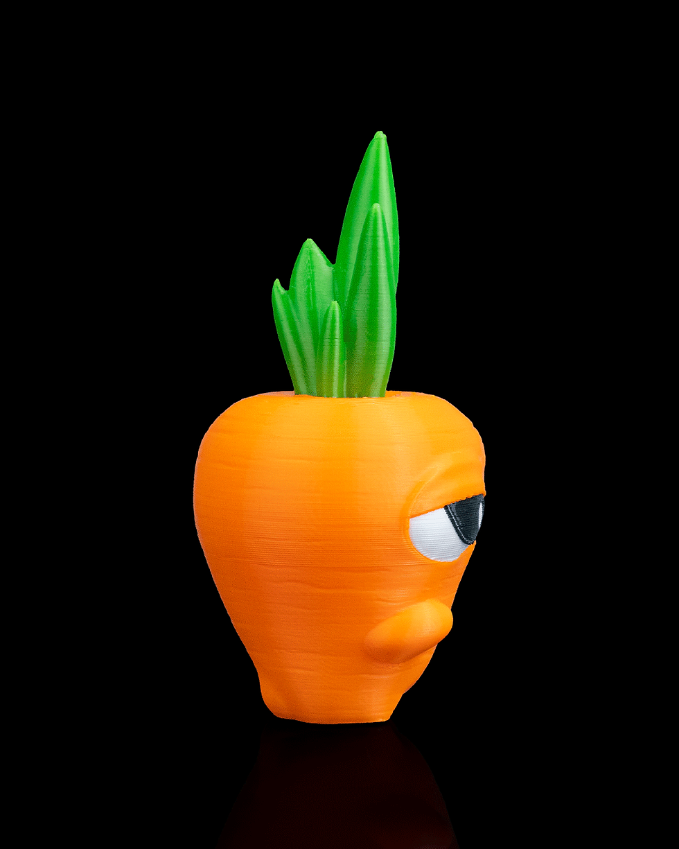 Thumbnail: Cora, the Carrot