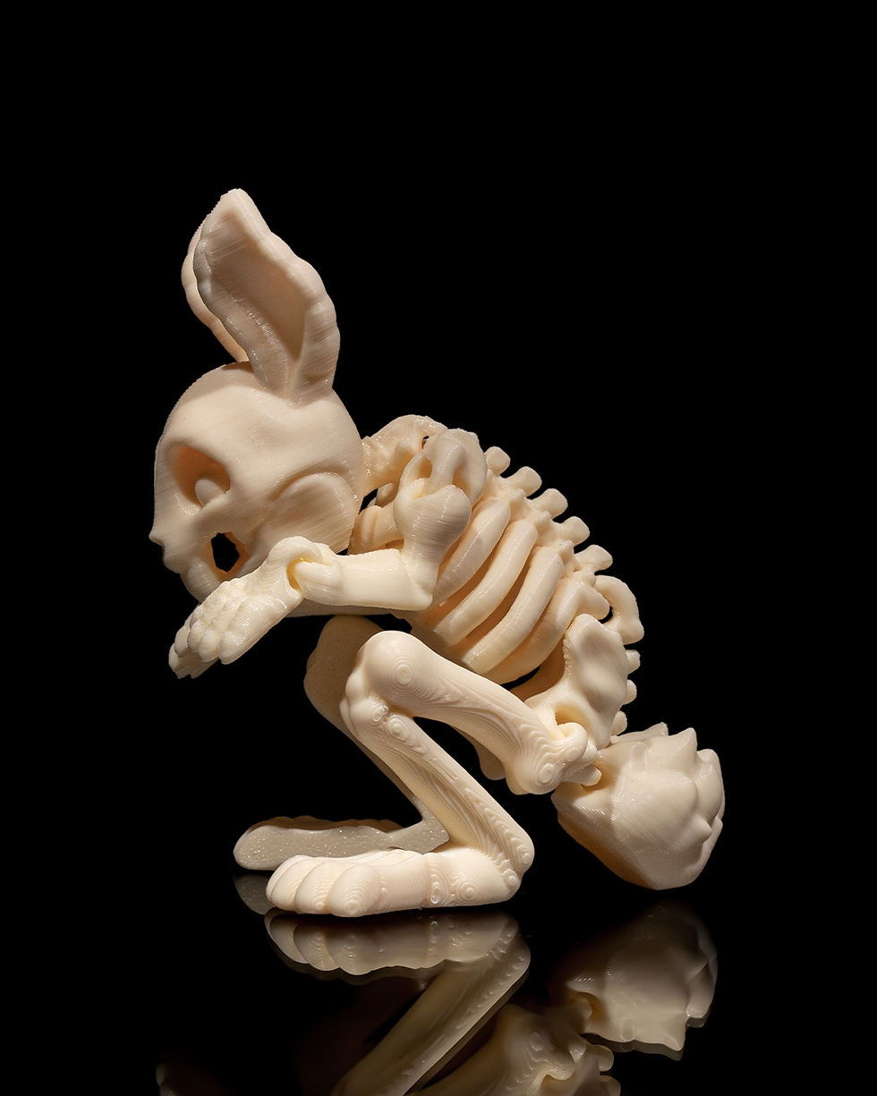 Thumbnail: Skeleton Bunny