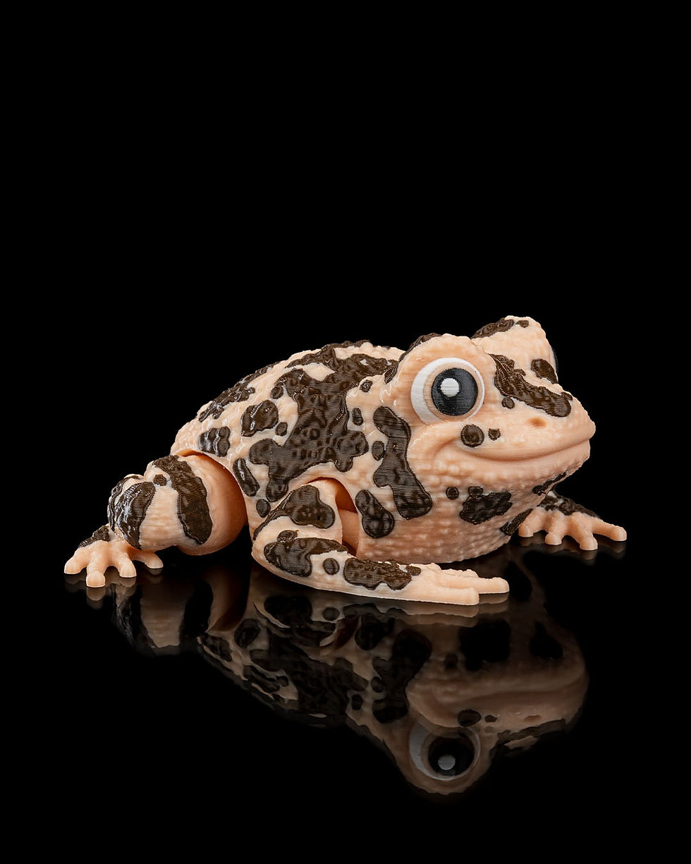 Thumbnail: Grace the American Ground Frog