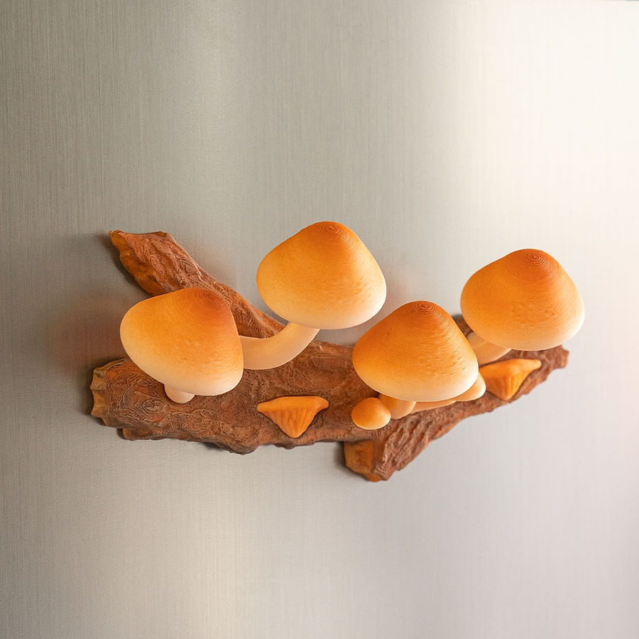 Cap-tivating Magnets