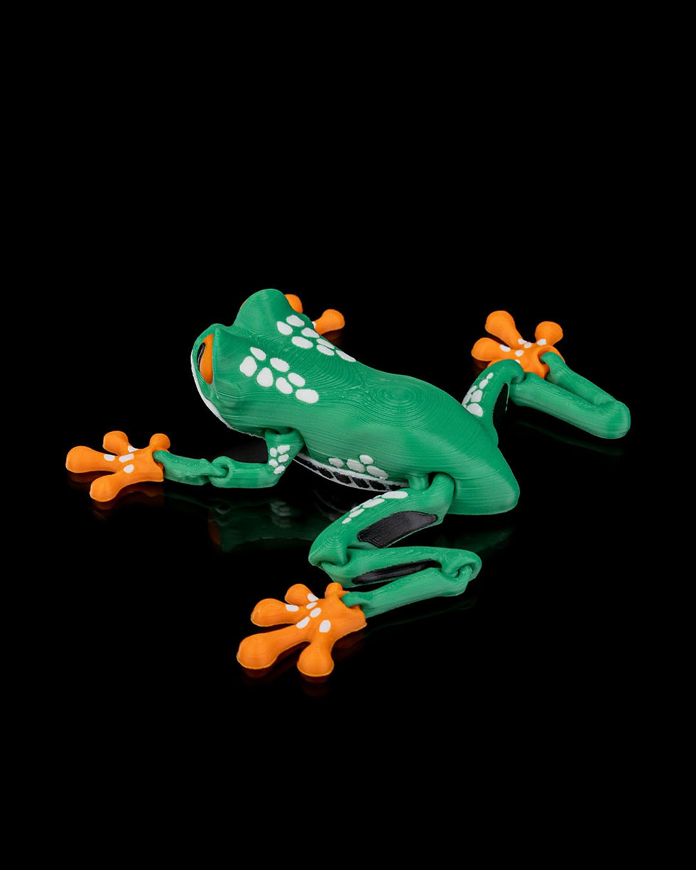 Thumbnail: Reed the Red Eyed Tree Frog