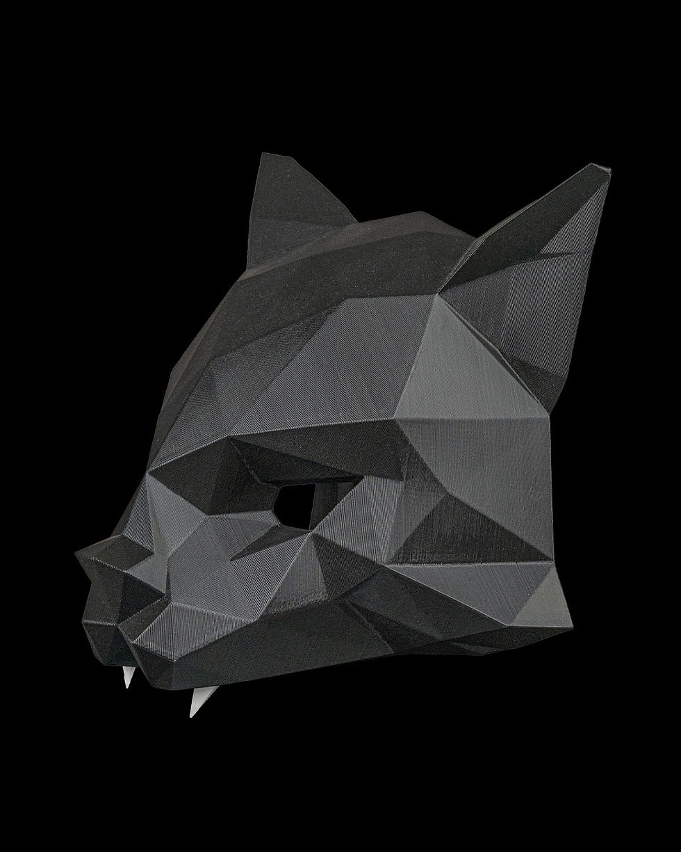 Thumbnail: HexaCat
