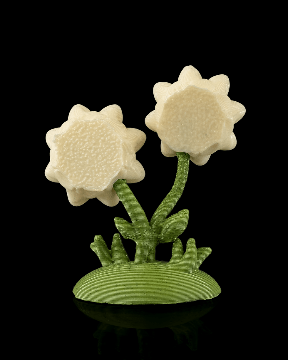 Thumbnail: Flowers