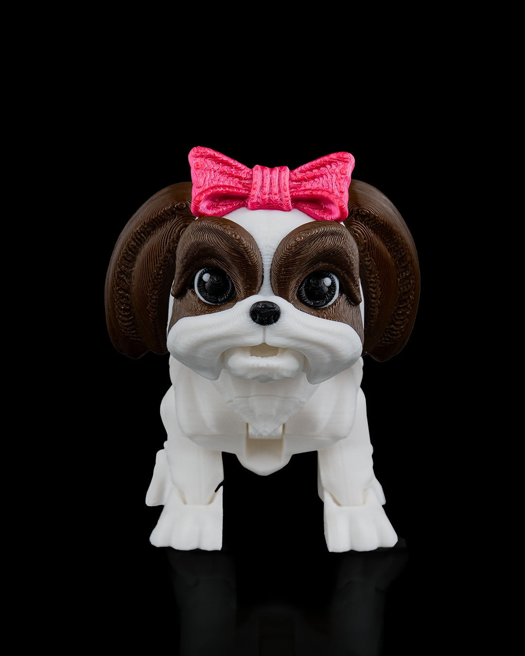 Rachel, the Shih Tzu