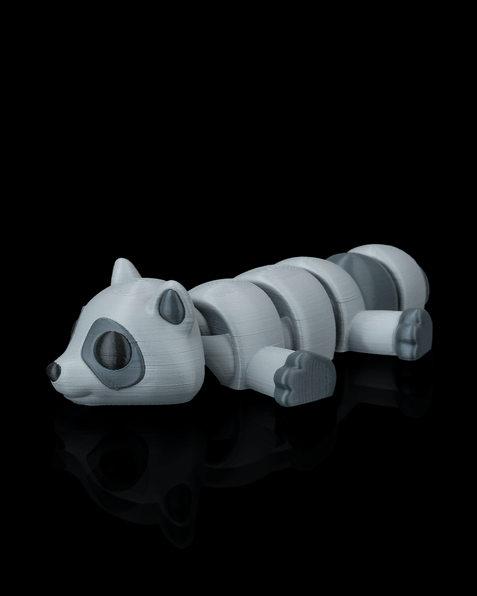 Thumbnail: Raccoon Laze