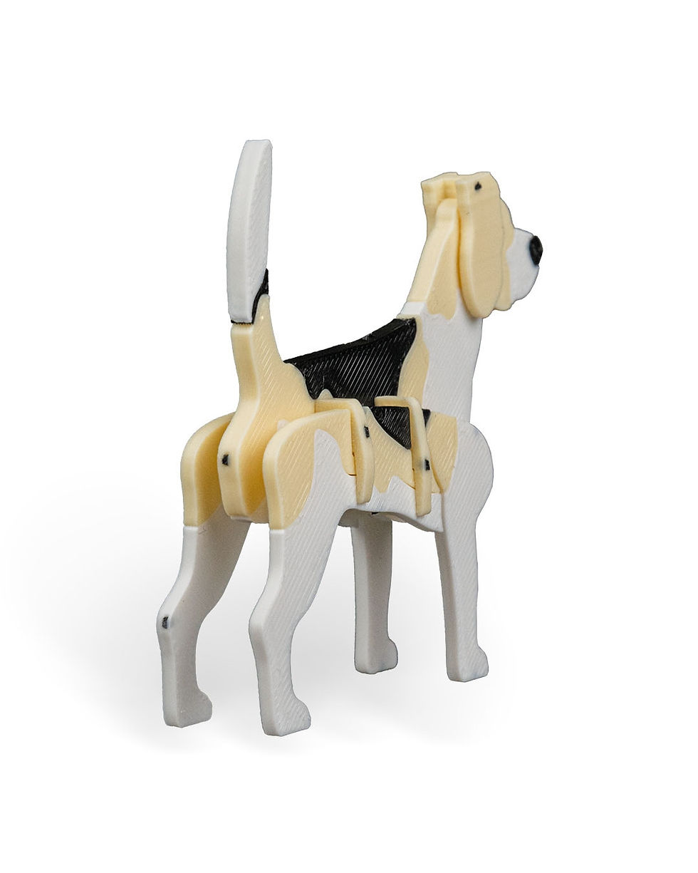 Thumbnail: Beagle Kit Card
