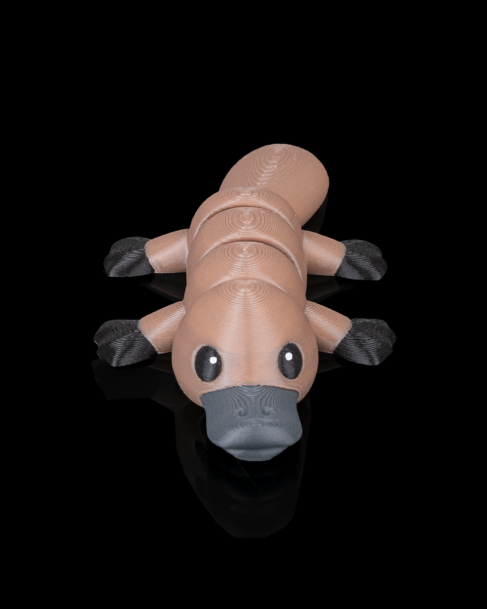 Thumbnail: Calm Platypus