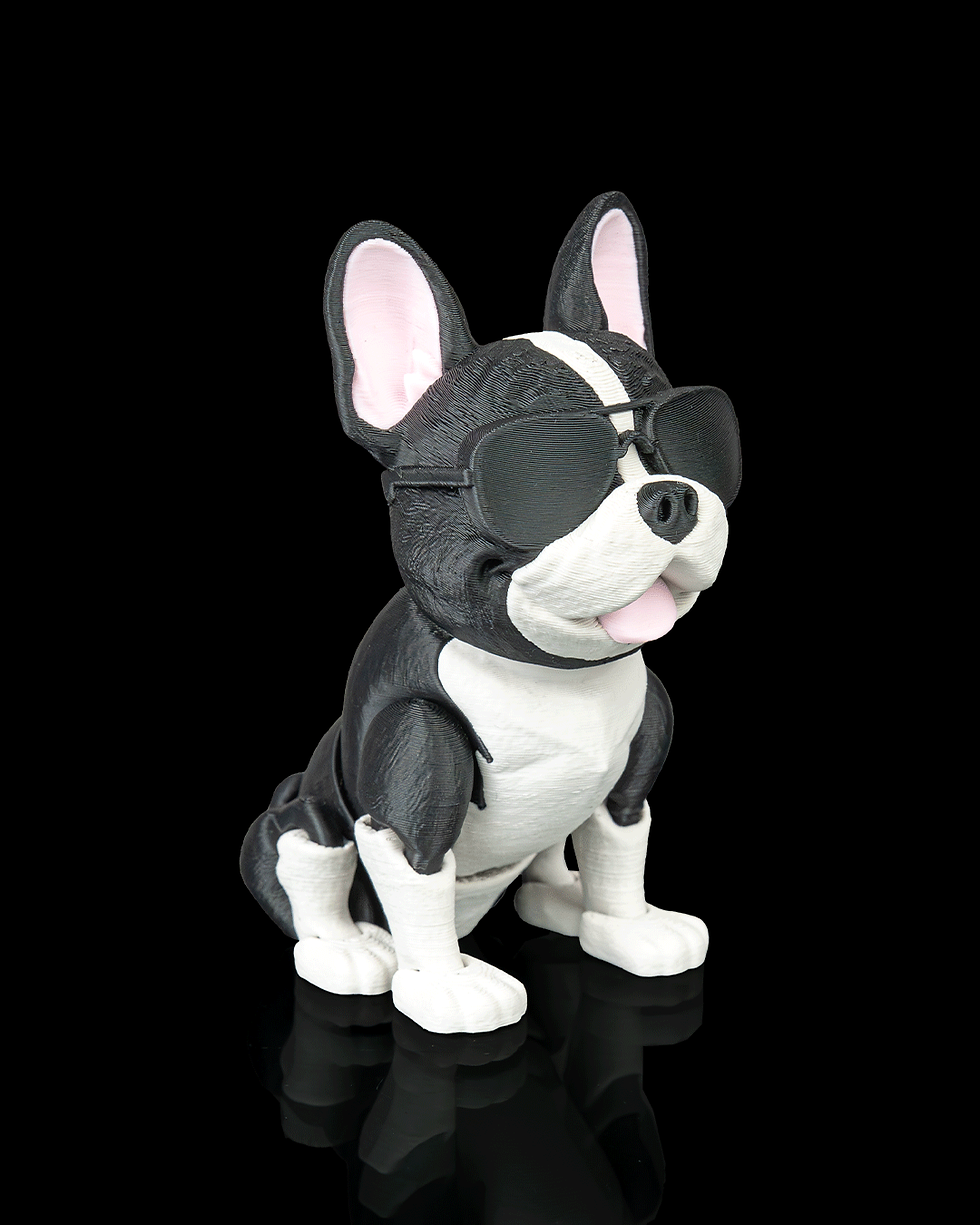 Thumbnail: Pierre, the French Bulldog