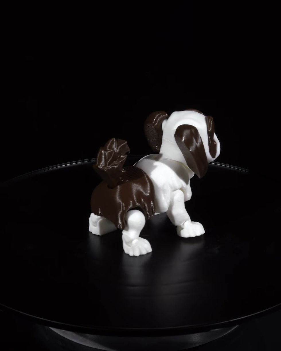 Thumbnail: Rachel, the Shih Tzu