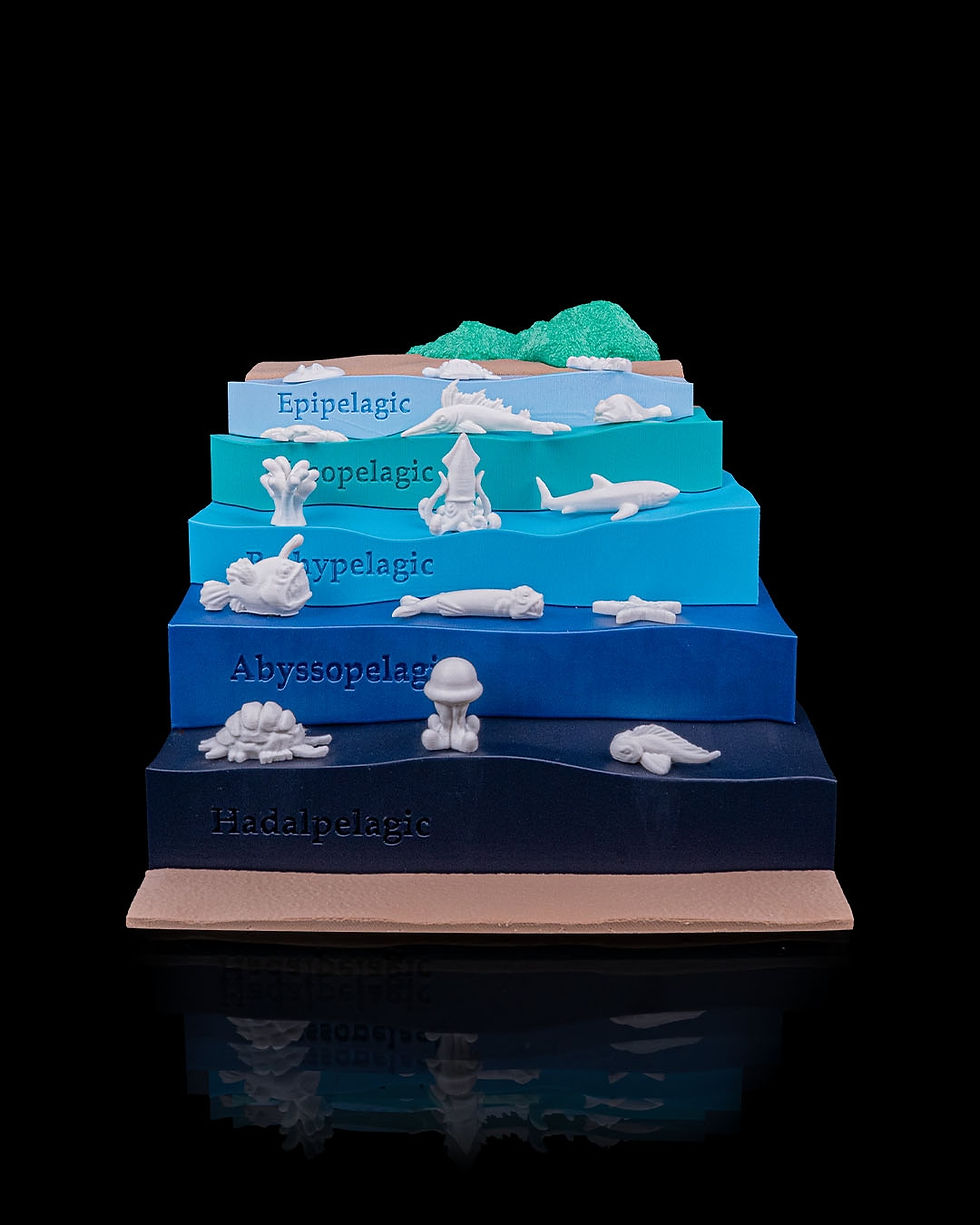 Thumbnail: Sea Through