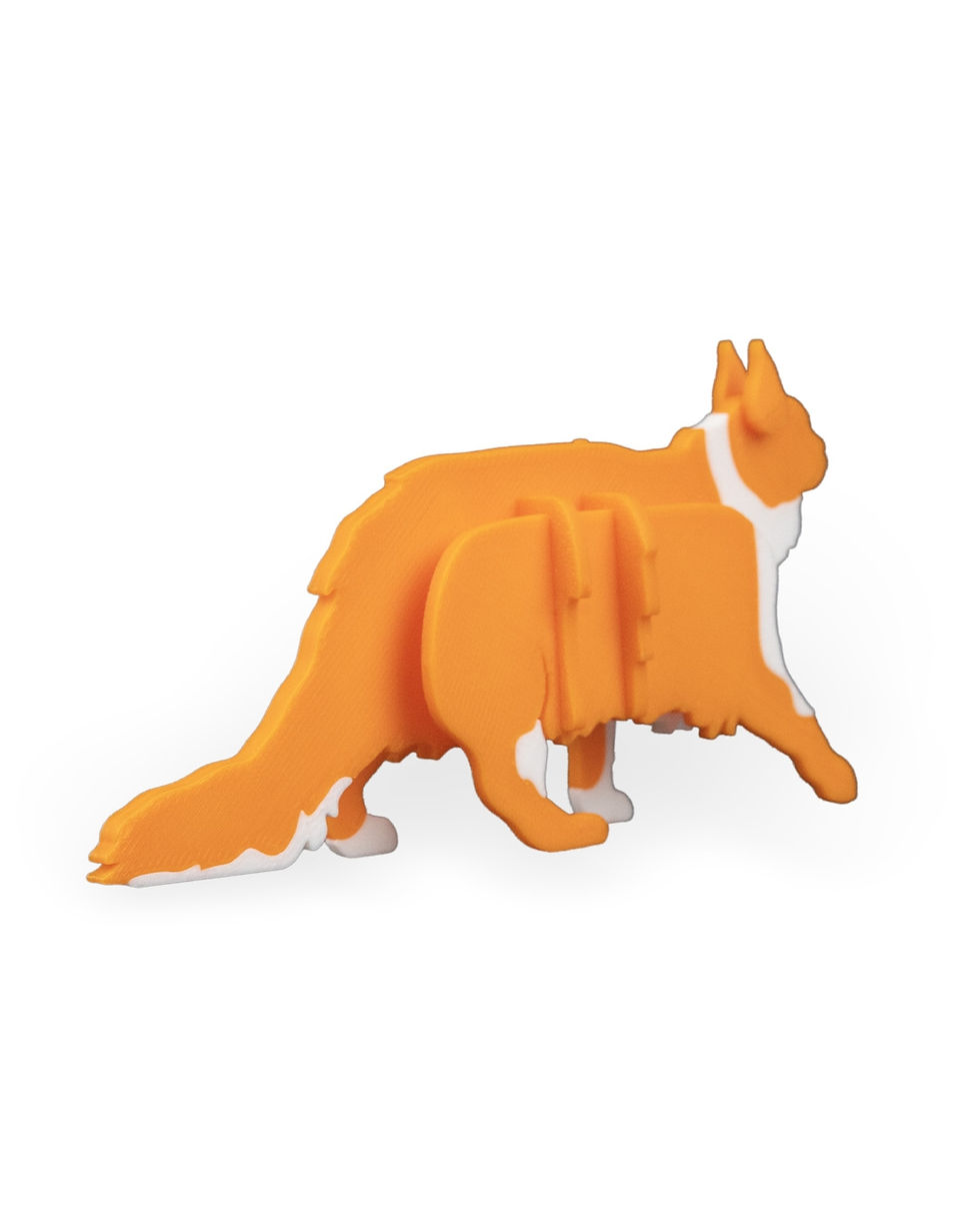 Thumbnail: Maine Coon Kit Card
