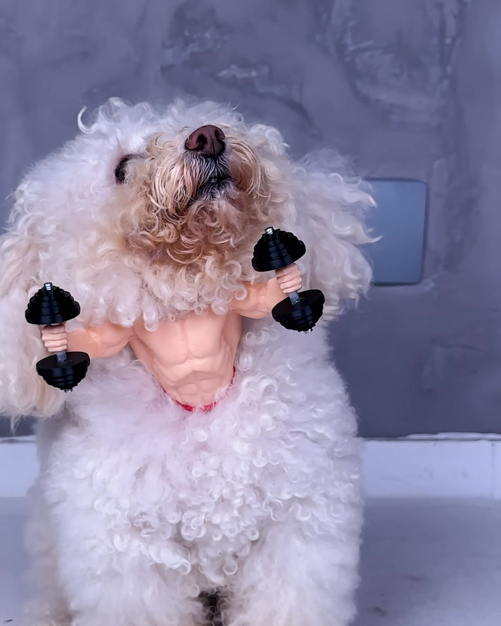 Thumbnail: Ruff and Buff Dog Collar