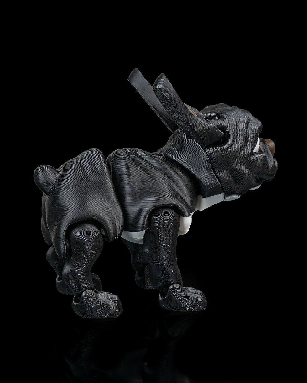 Thumbnail: Stella, the French Bulldog