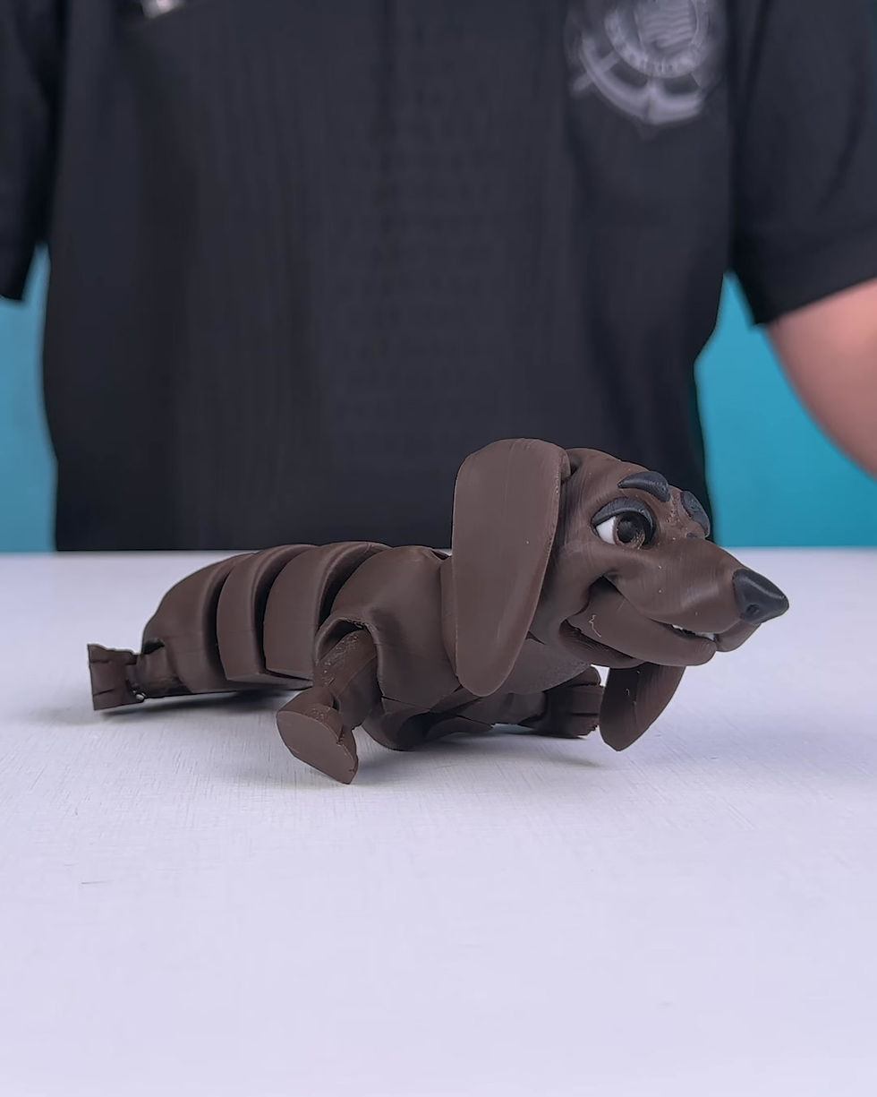Thumbnail: Winston, the Dachshund