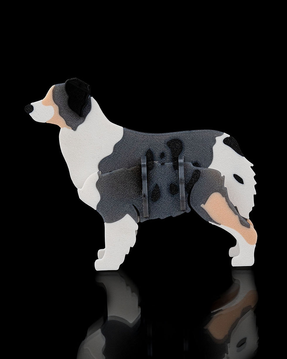 Thumbnail: Australian Shepherd Kit Card