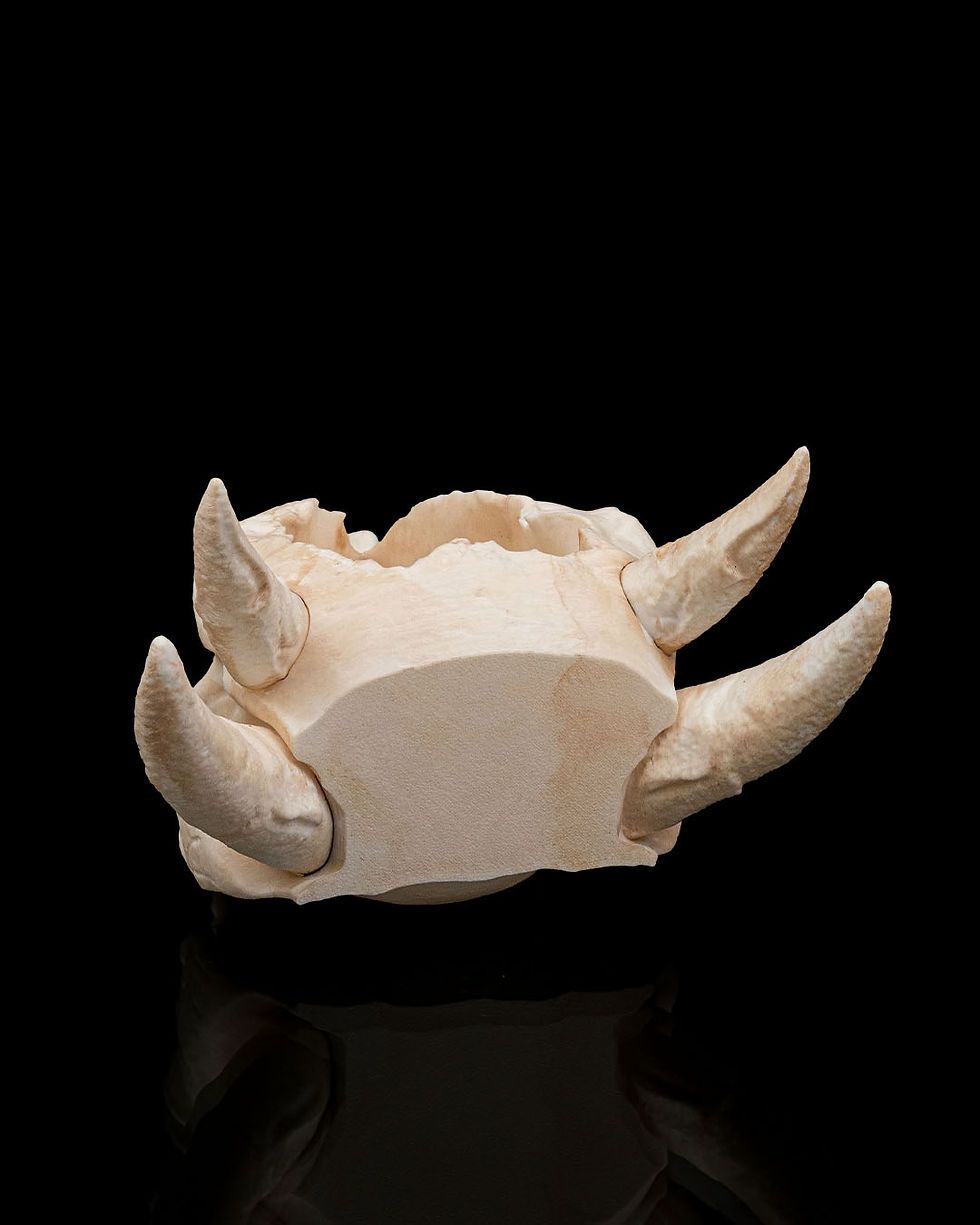 Thumbnail: Deathroot - Planter