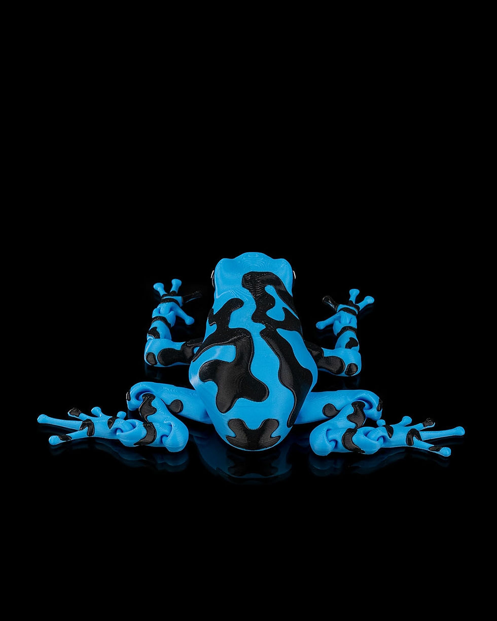 Thumbnail: Darcy the Poison Dart Frog