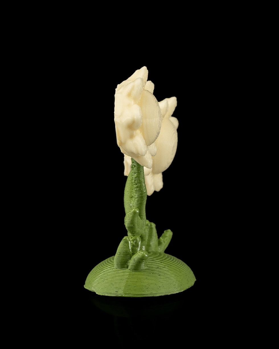Thumbnail: Flowers