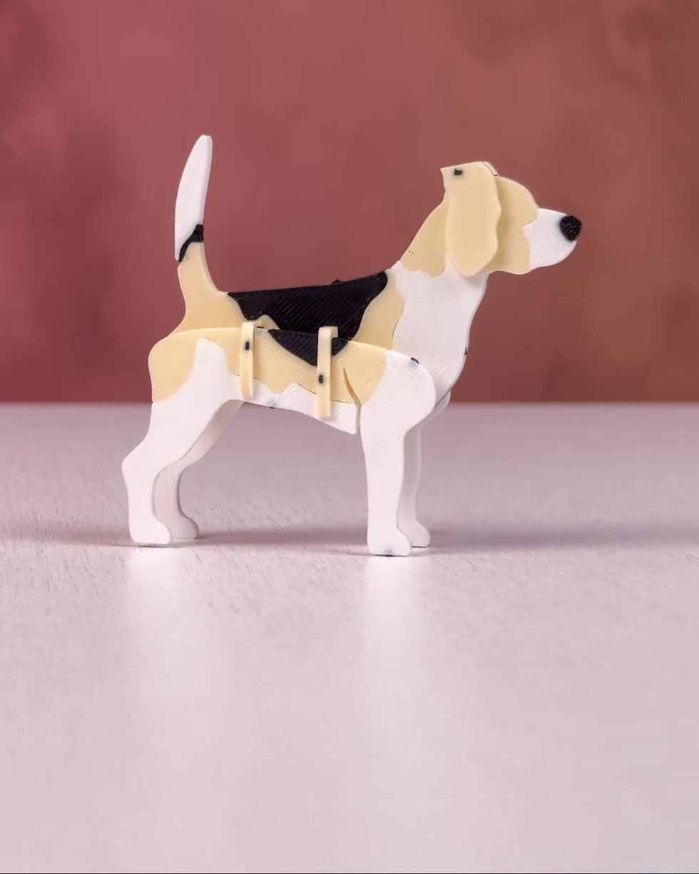 Thumbnail: Beagle Kit Card