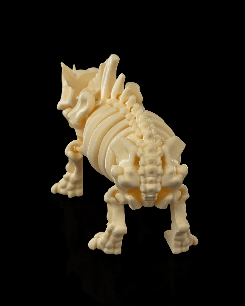 Thumbnail: Skeleton Rhino
