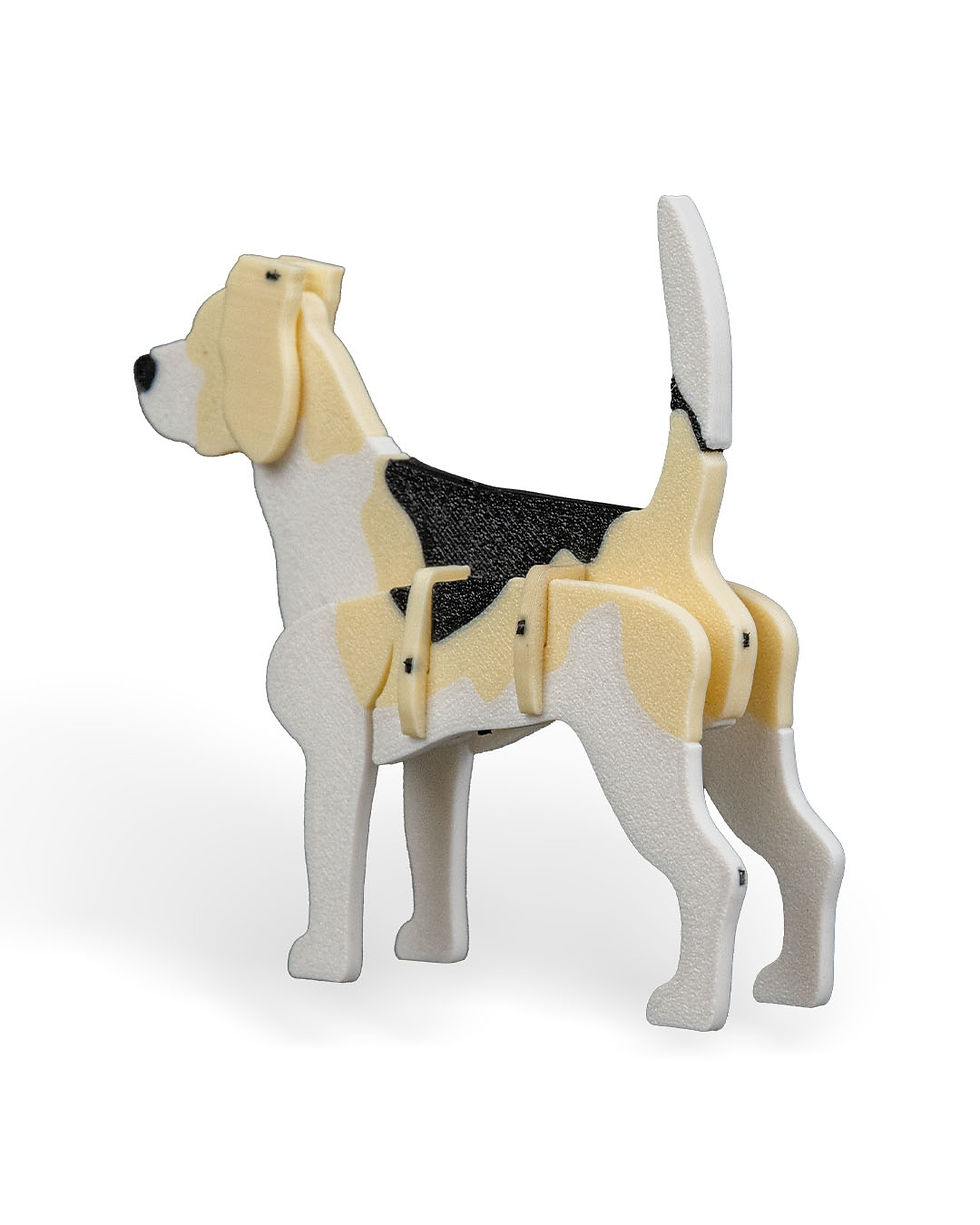 Thumbnail: Beagle Kit Card