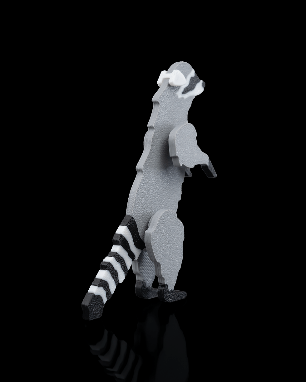 Thumbnail: Raccoon Kit Card