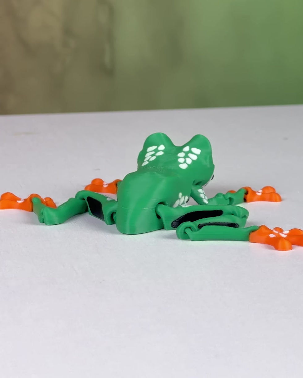 Thumbnail: Reed the Red Eyed Tree Frog