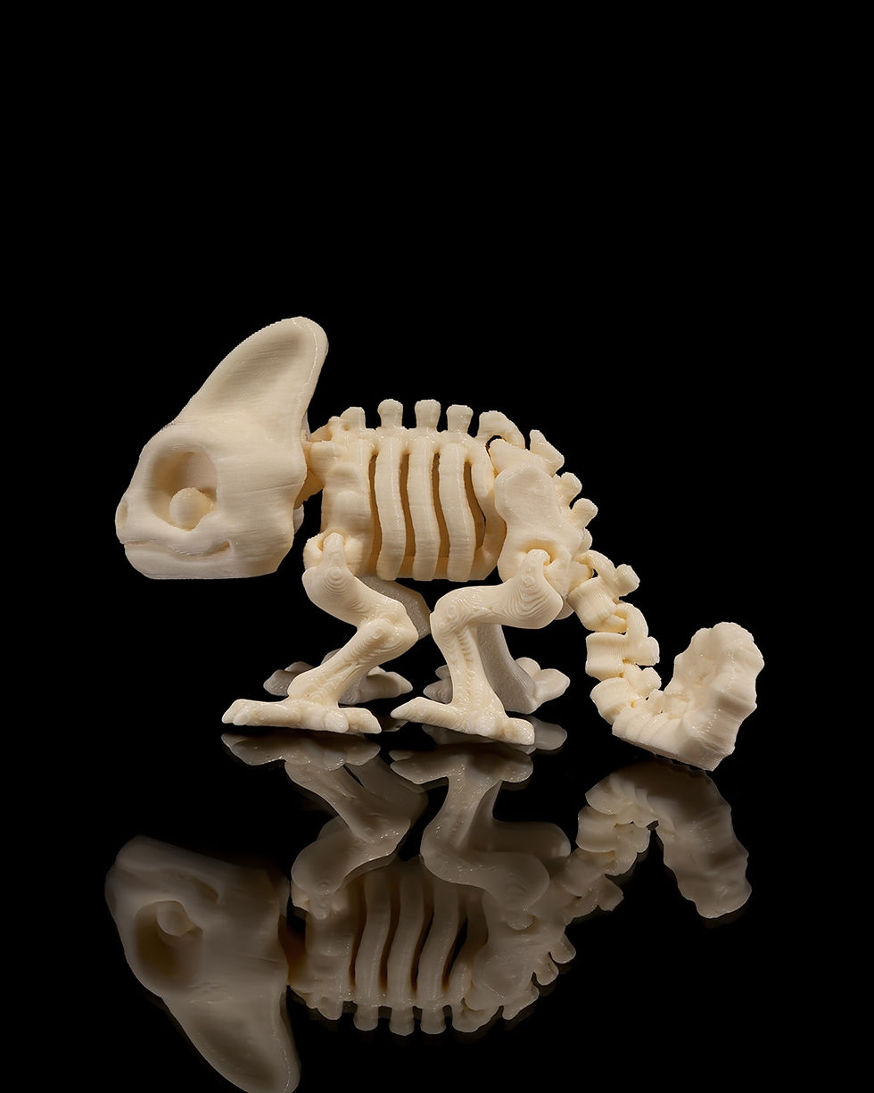 Thumbnail: Skeleton Chameleon