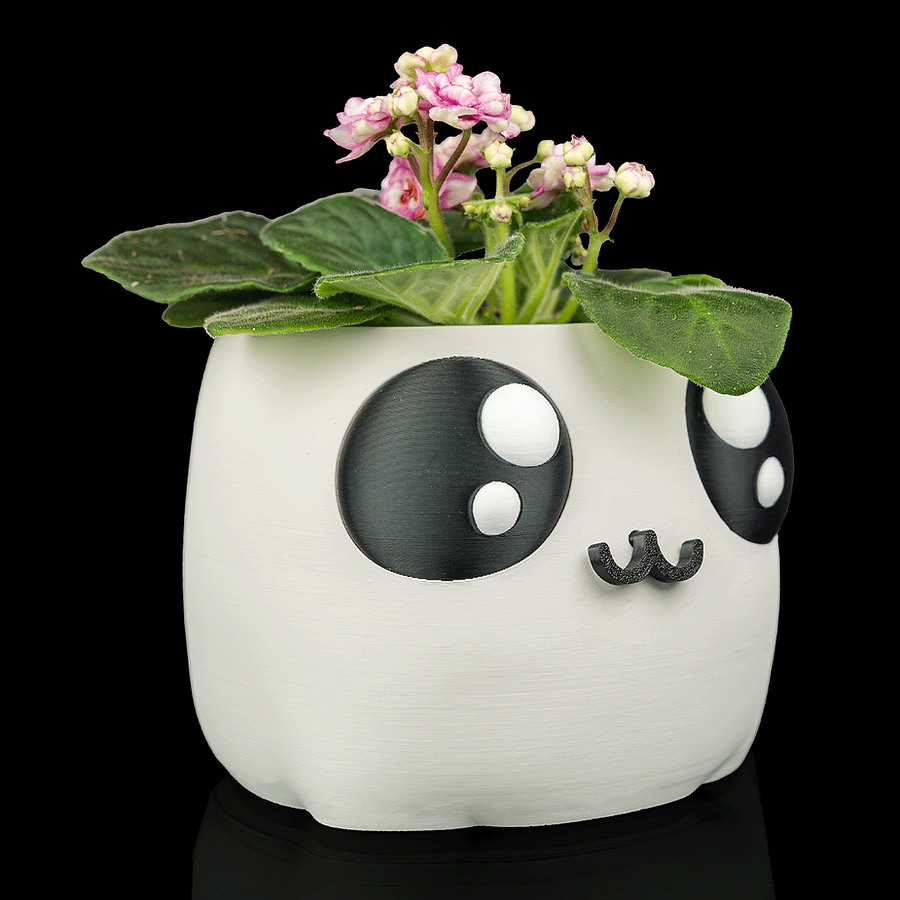 Bloop Face - Planter