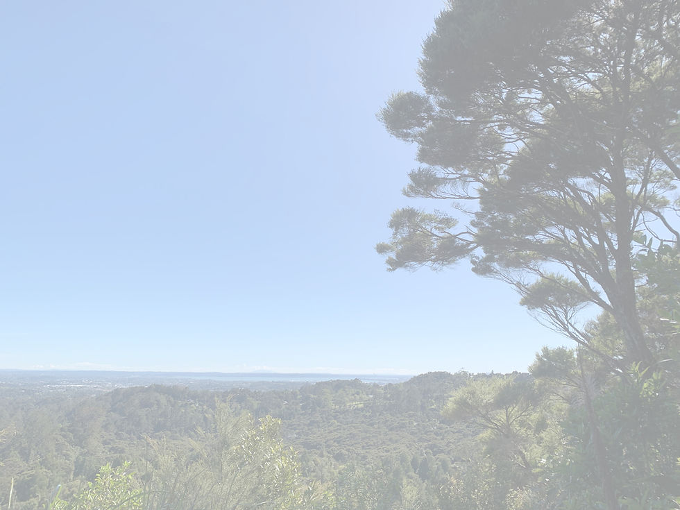 View of Auckland facing north-east from the Waitakere Ranges