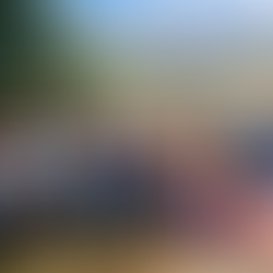 Engaging local authorities in the North Bank Region on a youth-led five-point action plan