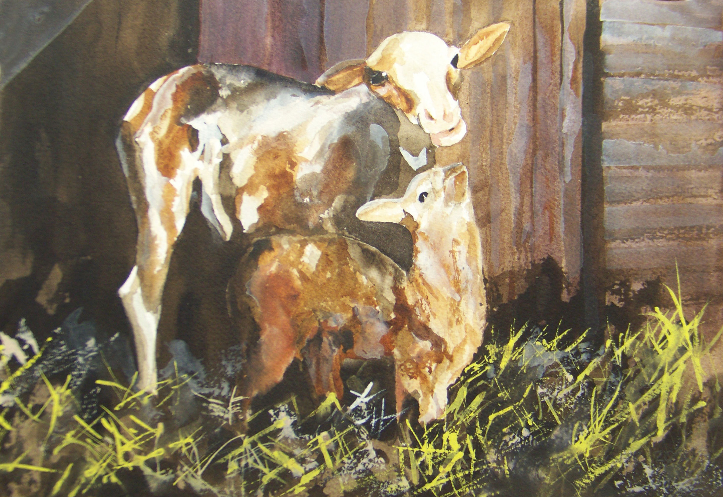 Piebald, Necessity Farm