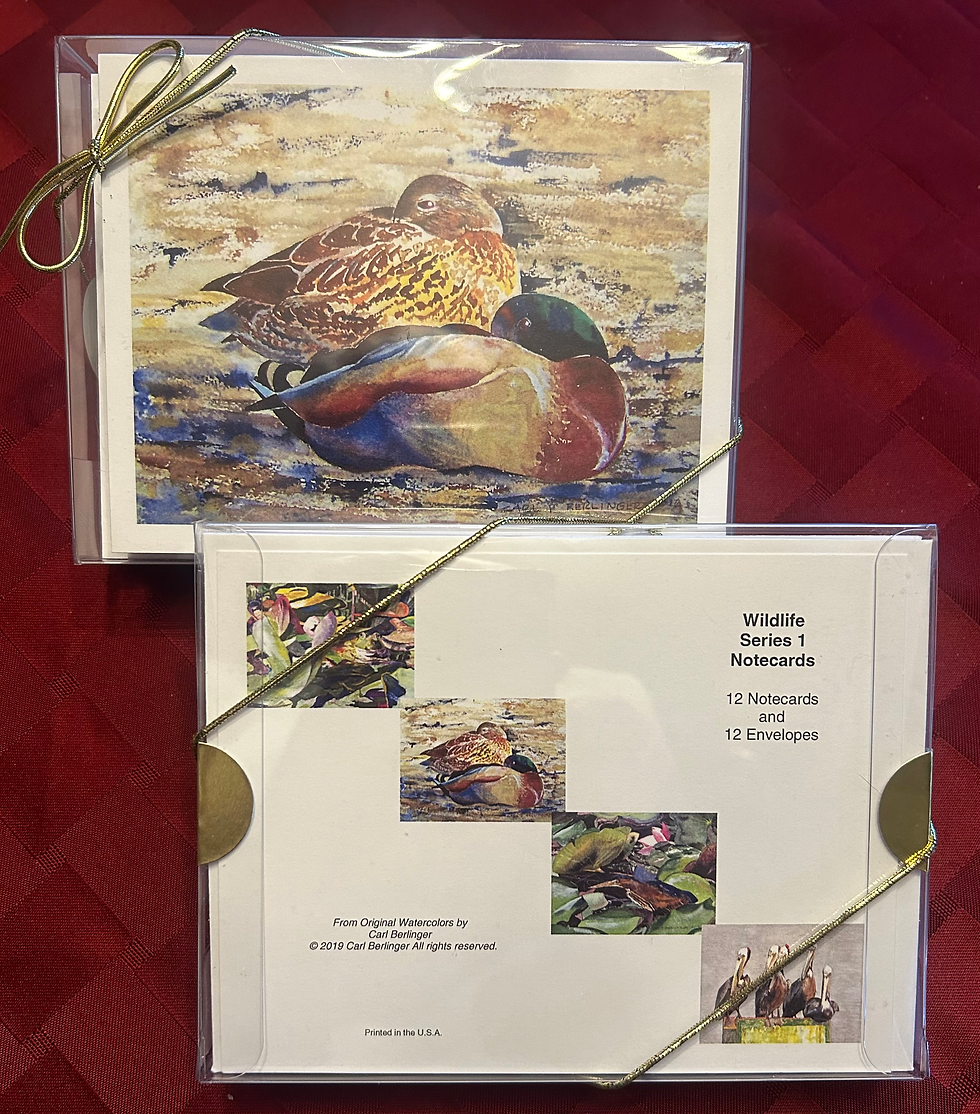 Notecard Set - Birds