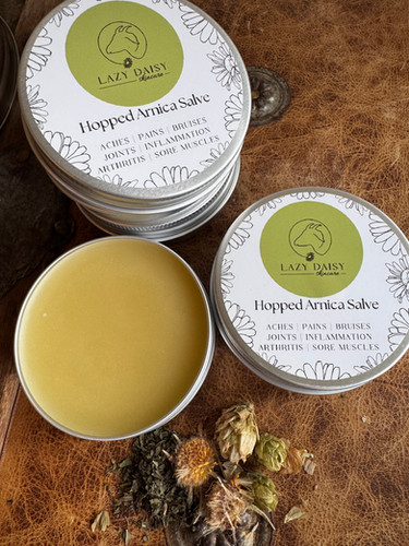 Hopped Arnica Salve | Lazy Daisy Skincare