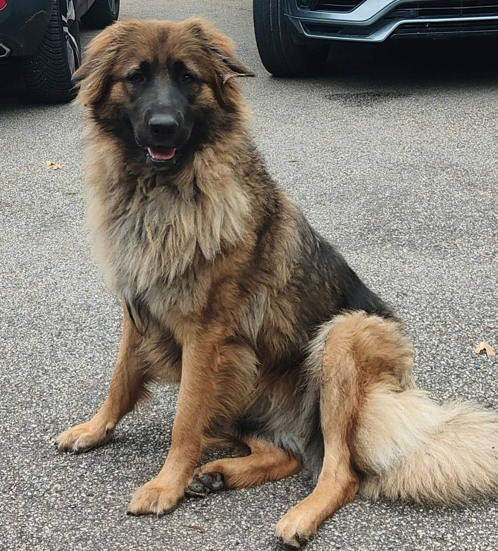 547709195_24591588190490492_8004221463317001189_n_edited