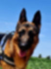 trueno4_edited