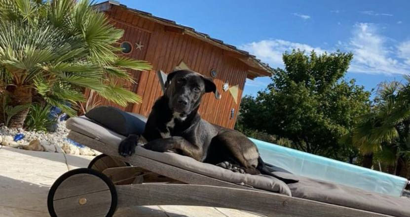 557626981_24756158537366789_5585621469541713682_n_edited