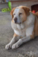 Diego