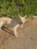 Yuki7