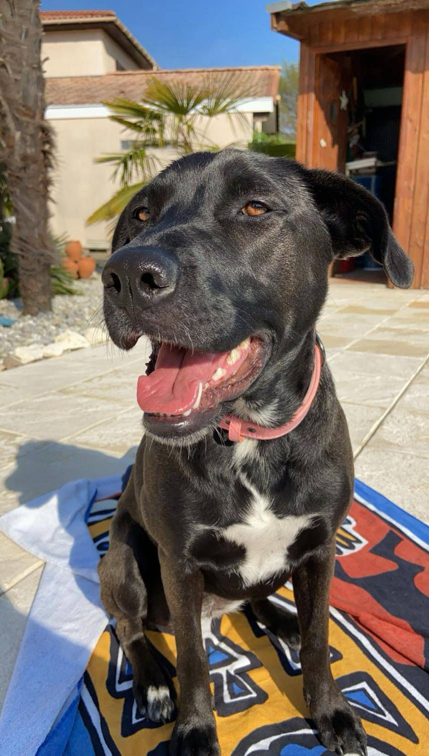 557601922_24756157654033544_5021139238705199308_n_edited