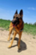 trueno3