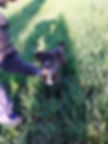 Drila5