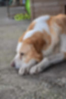Diego