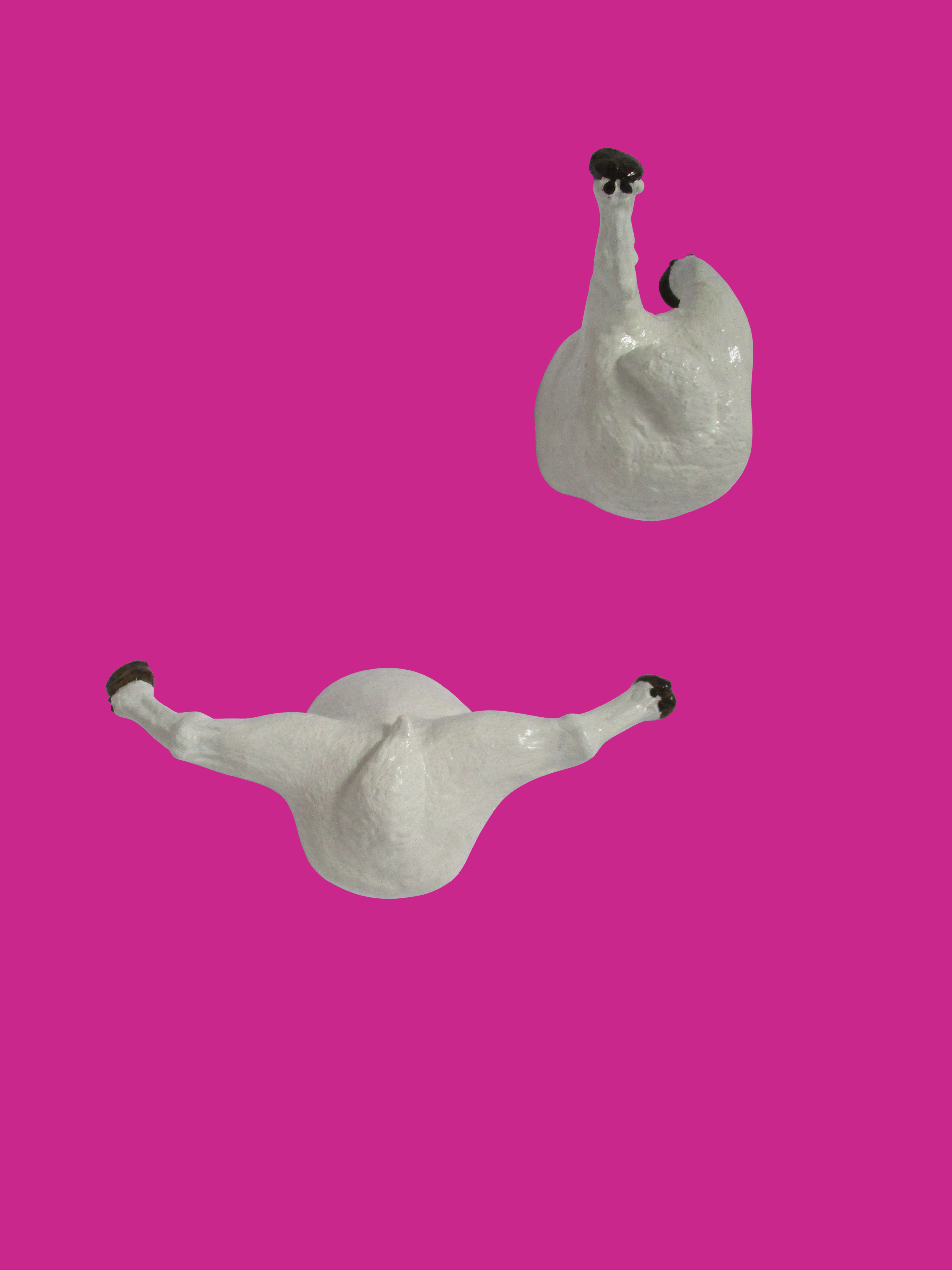 Sheep Caberat