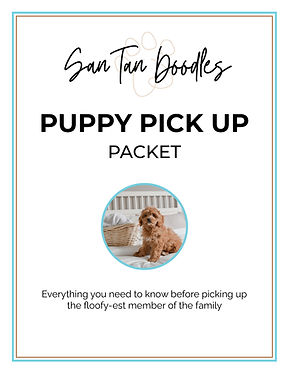 SanTanDoodles_Puppy Pick Up Packet_Page_1.jpg