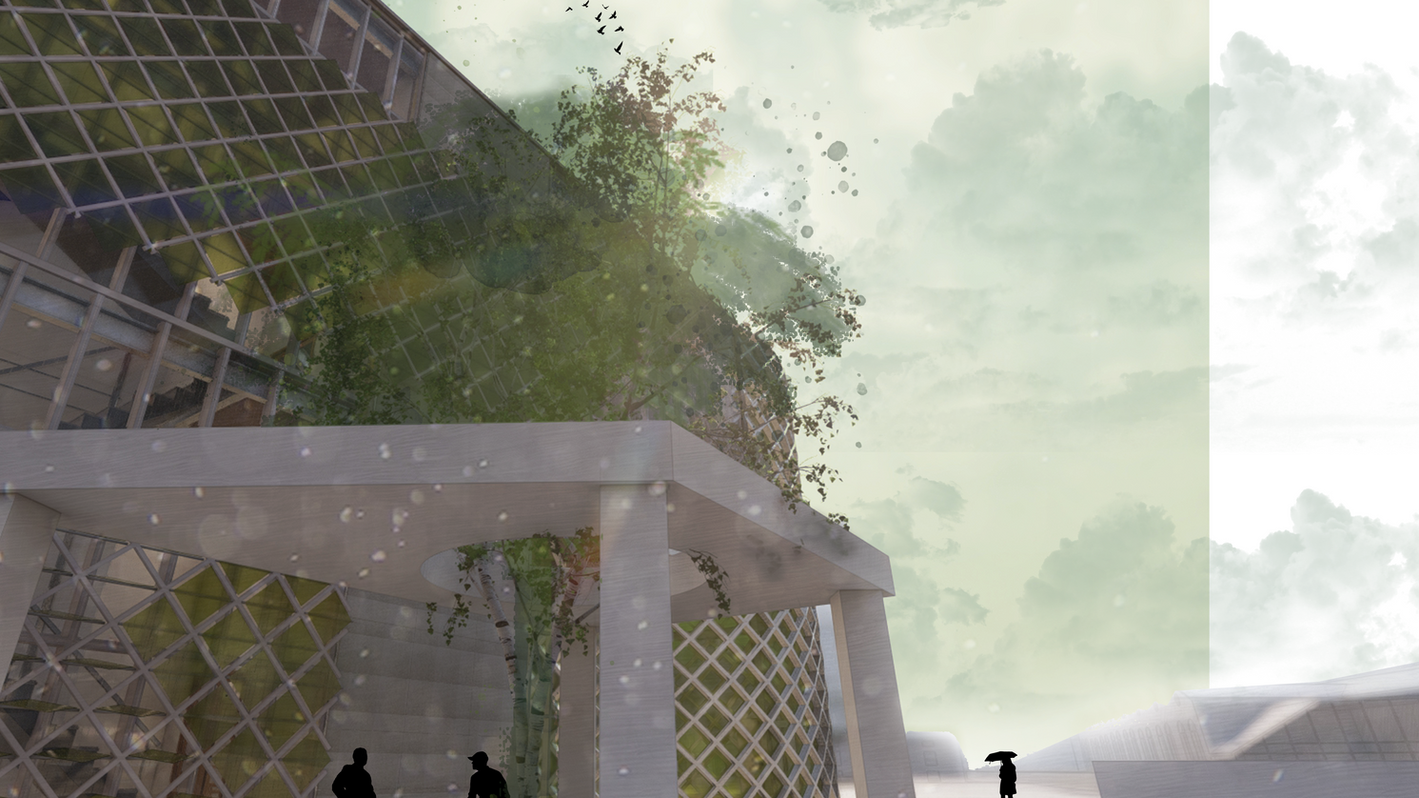 1296 cover.png