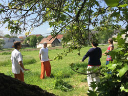 JINSHEN ANNING QIGONG